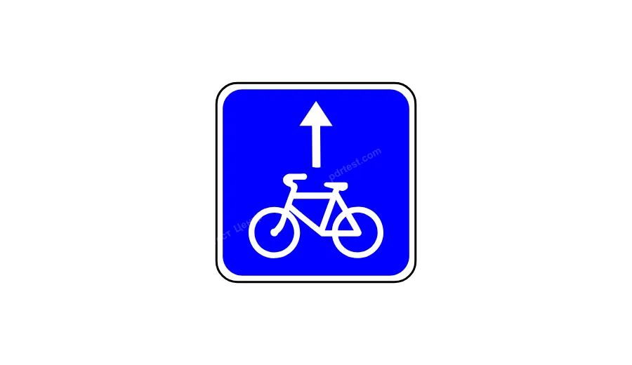 Крім велосипедів, по велосипедній смузі можуть рухатись: