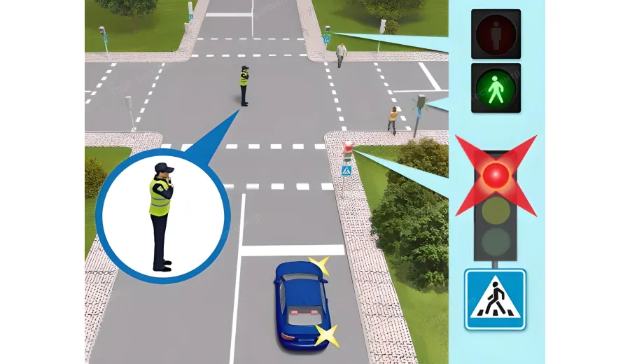 Чи повинен водій синього автомобіля, повертаючи праворуч, дати дорогу пішоходам?